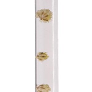 Parsa Beauty kulmupintsel Trend 00096