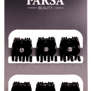 Parsa Beauty juukseklambrid