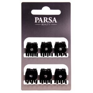 Parsa Beauty juukseklambrid