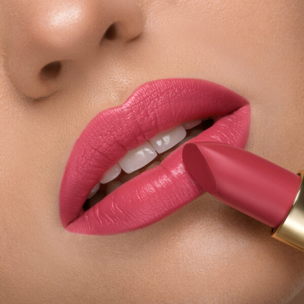 Pierre Rene Royal Lip Mat Lipstick matt huulepulk 05 "dusty cedar" - Image 4