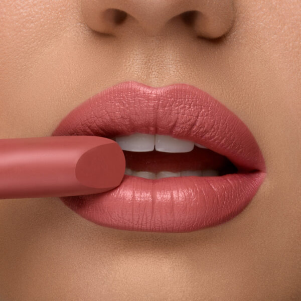 Pierre Rene Royal Lip Mat Lipstick matt huulepulk 22 "pottery clay" - Image 4
