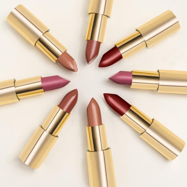 Pierre Rene Royal Lip Mat Lipstick matt huulepulk 32 "fashion city" - Image 4