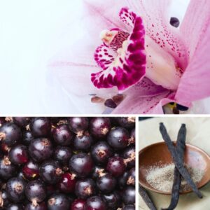 Dresdner Essenz vannisool Mu süda kuulub ainult sulle