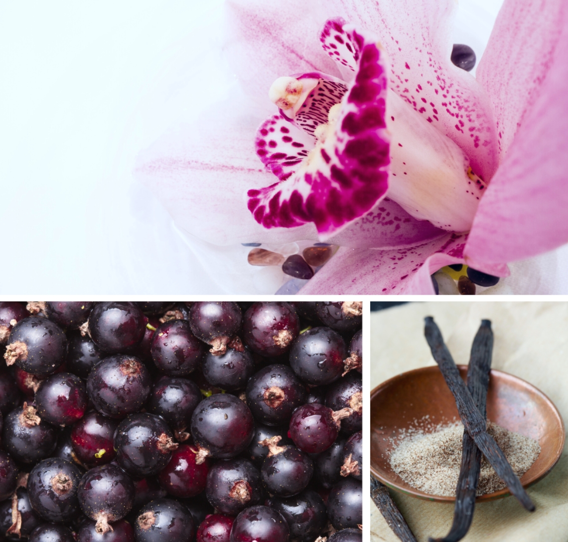 Dresdner Essenz vannisool Mu süda kuulub ainult sulle