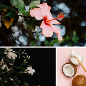 Dresdner Essenz tropical Breeze vannivaht 500 ml