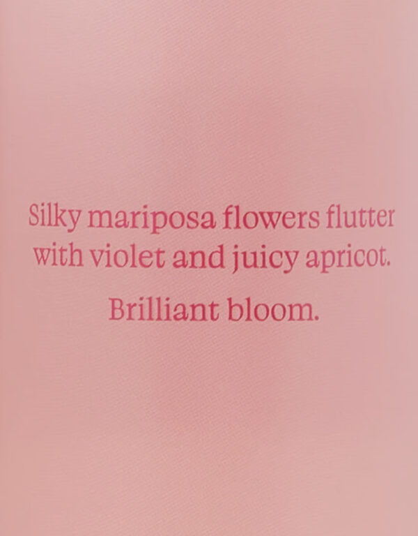 Victoria´s Secret Bright Mariposa Apricot Body Spray lõhnasprei 250ml - Image 2