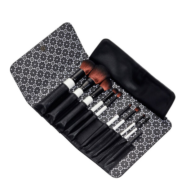 Lily Lolo Luxury 10 pintsli komplekt