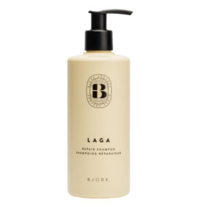 Björk Šampoon taastav 300ml