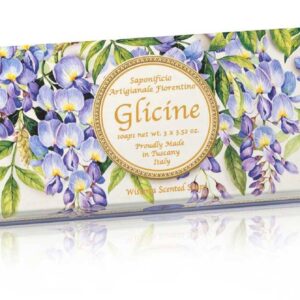 Fiorentino Seepide komplekt Michelangelo visteeria 3x100g