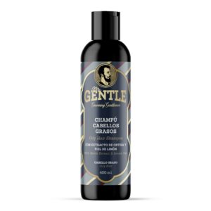 Mr.Gentle Gentle Shampoo Oily Hair meeste šampoon rasustele juustele 400ml