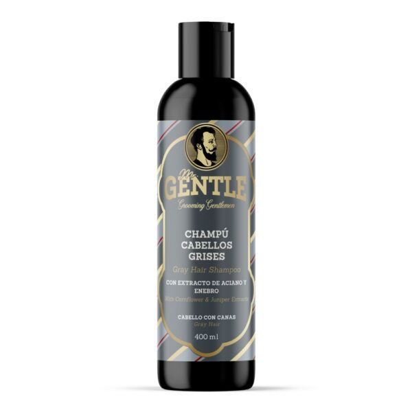 Mr.Gentle Gentle Gray Hair Shampoo meeste šampoon hallidele juustele 400ml