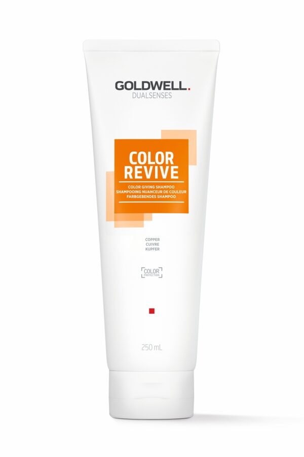 Goldwell Dualsenses Color Revive tooniv šampoon Vask  250ml
