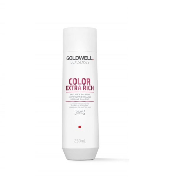 Goldwell Dualsenses Color Extra Rich värvikaitsega šampoon
