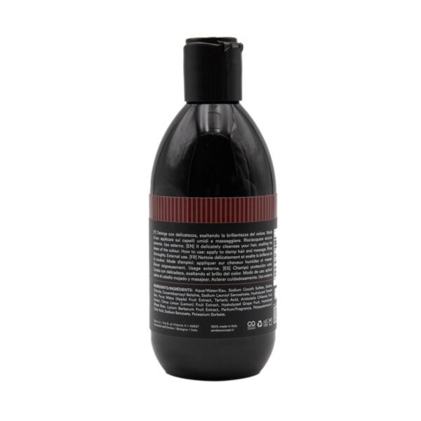 Sendo Color Protection Šampoon Värvitud Juustele 250ml - Image 2