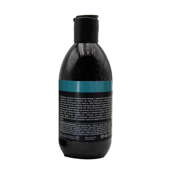 Sendo Rebalancing Tasakaalustav Šampoon 250ml - Image 2