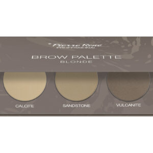 Pierre Rene Brow Palette kulmuvärvide palett 01 "blonde"