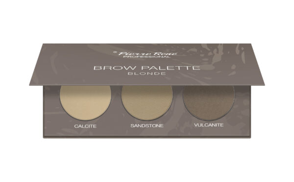 Pierre Rene Brow Palette kulmuvärvide palett 01 "blonde"