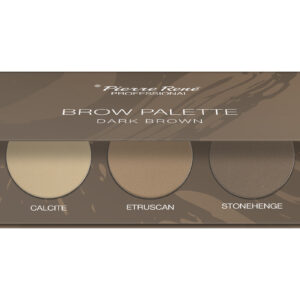 Pierre Rene Brow Palette kulmuvärvide palett 02 "dark brown"
