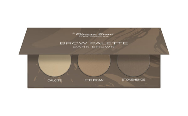Pierre Rene Brow Palette kulmuvärvide palett 02 "dark brown"