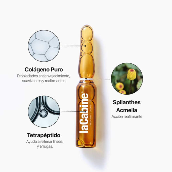 LaCabine Collagen Boost Ampullid 10x2ml - Image 3