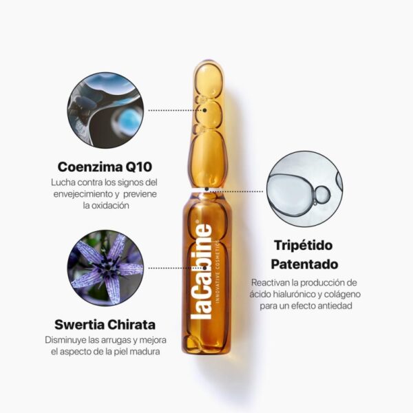 LaCabine Global Anti-Aging Vananemisvastased Ampullid 10X2ml - Image 3