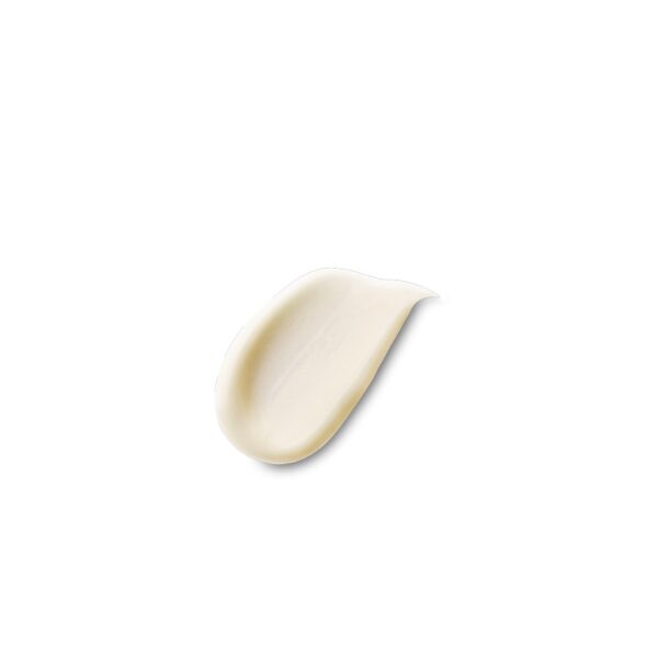 Previa Regenerating taastav mask kahjustatud ja habrastele juustele 60ml - Image 2