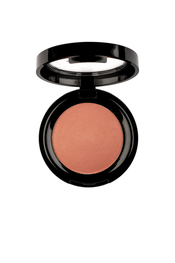 Pierre Rene Rouge powder põsepuna 07 "rusty cheek"