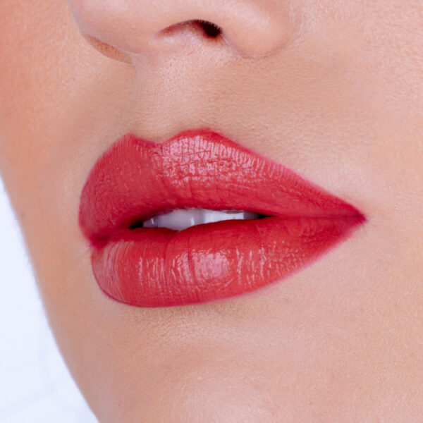 Pierre Rene Vinyl Lips vedel huulevärv 04 warm nude fusion - Image 3