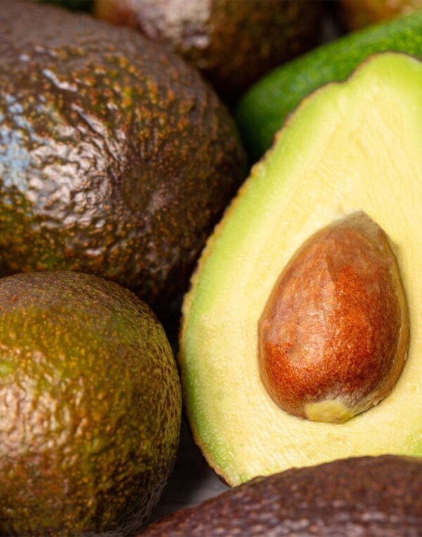 GSKIN Avocado Toitev Šampoon kuivadele ja kahjustatud juustele 400ml - Image 2