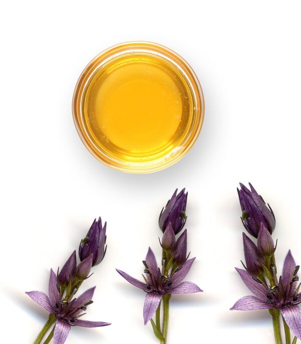 Ecoderma Global Anti-Age Vananemisvastane näoseerum 30ml - Image 3