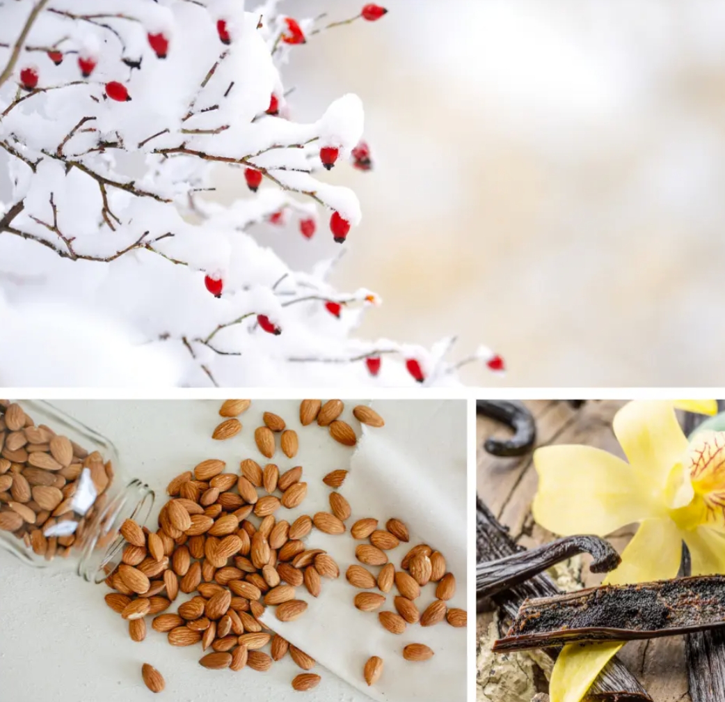 Dresdner Essenz Vannisool Winter Berry 60g - Image 2