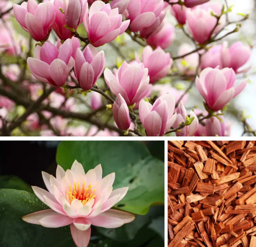 Dresdner Essenz Vannisool Warm Up for Fun 60g - Image 2