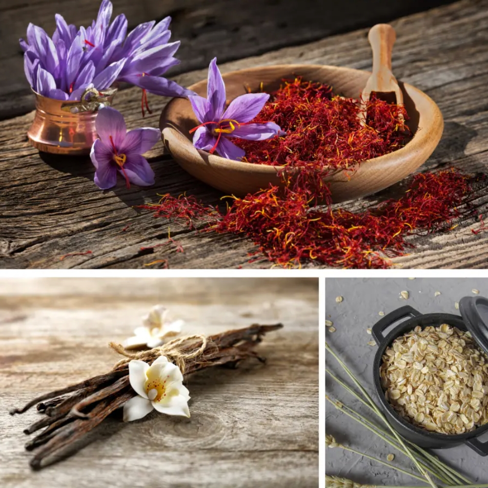 Dresdner Essenz Vannivaht Winter Balance 500 ml - Image 2