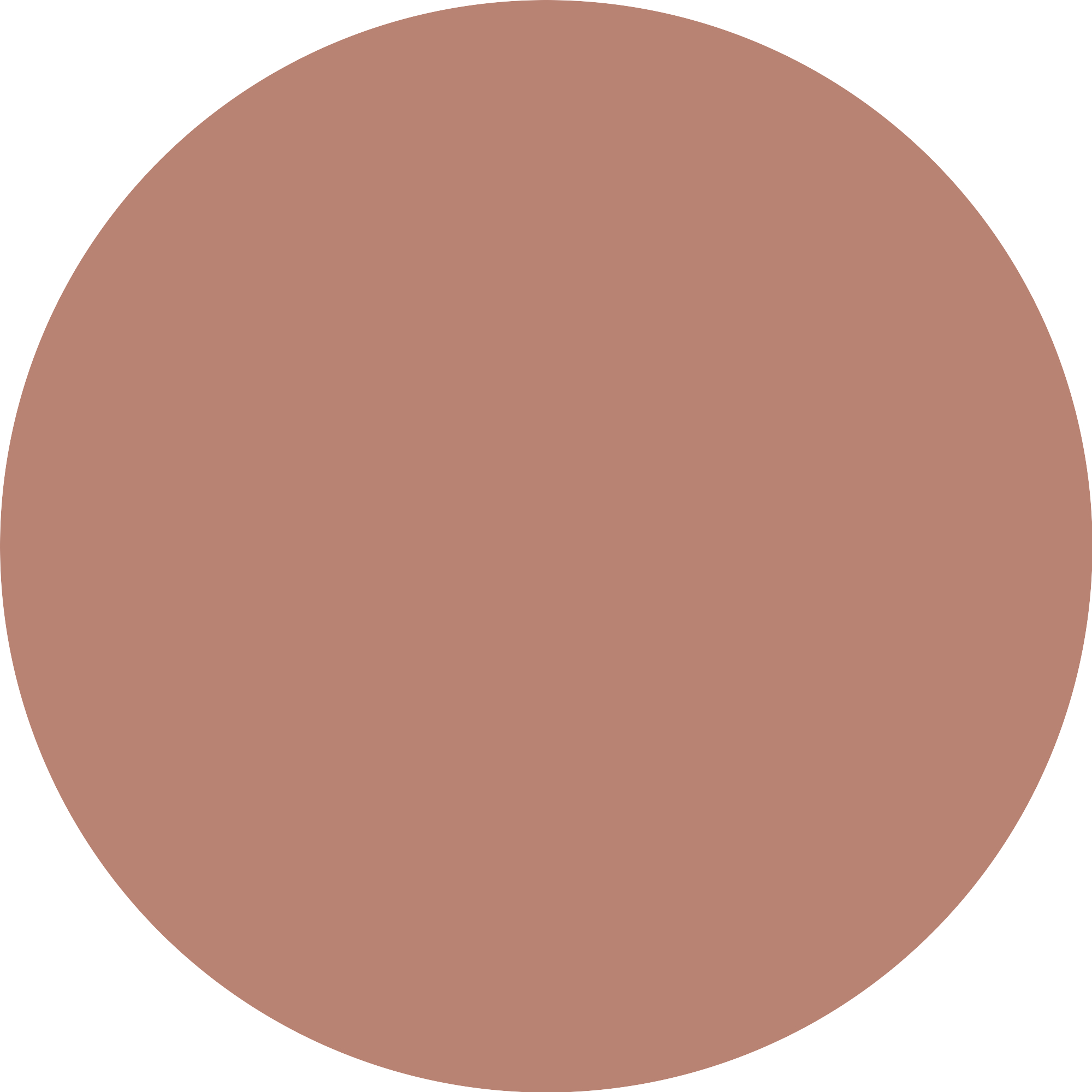 Catrice Plumping Huulelainer 210 - Image 4