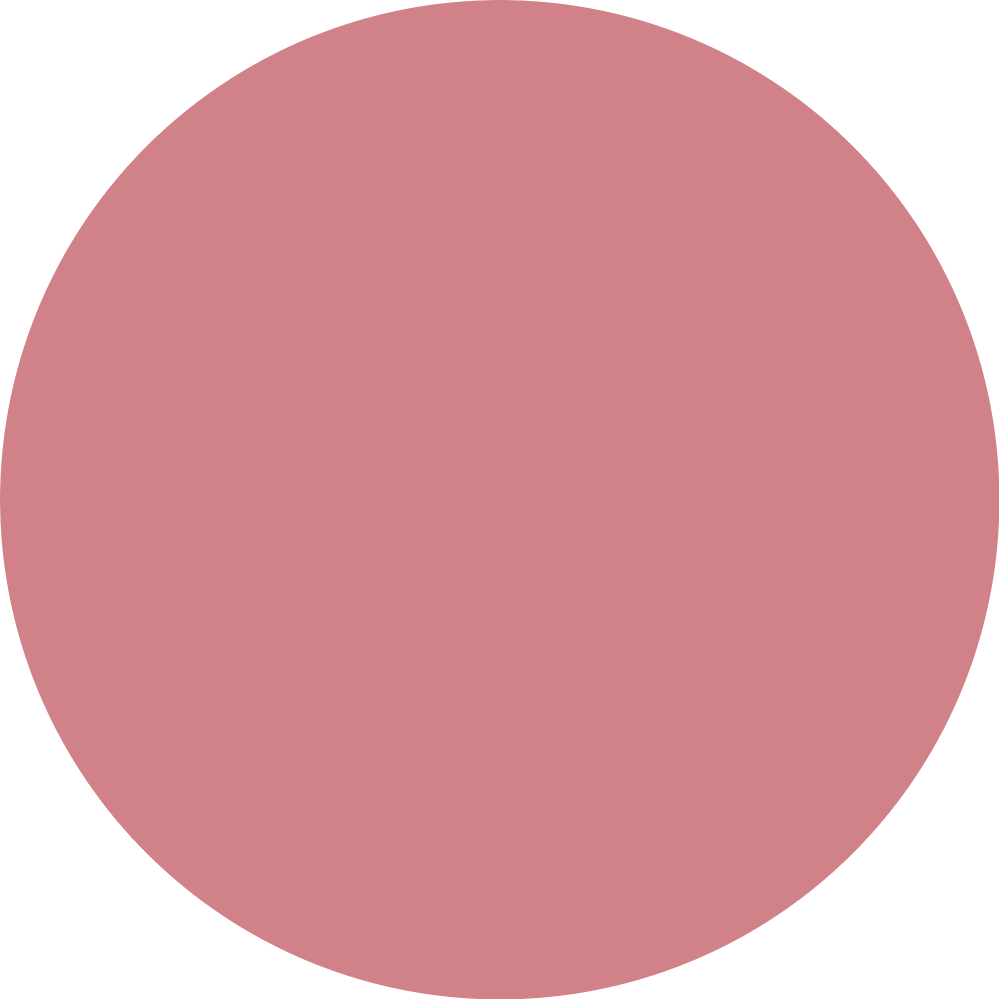 Catrice Velvet Pudding Blurring Vahuline põsepuna 010 - Image 5