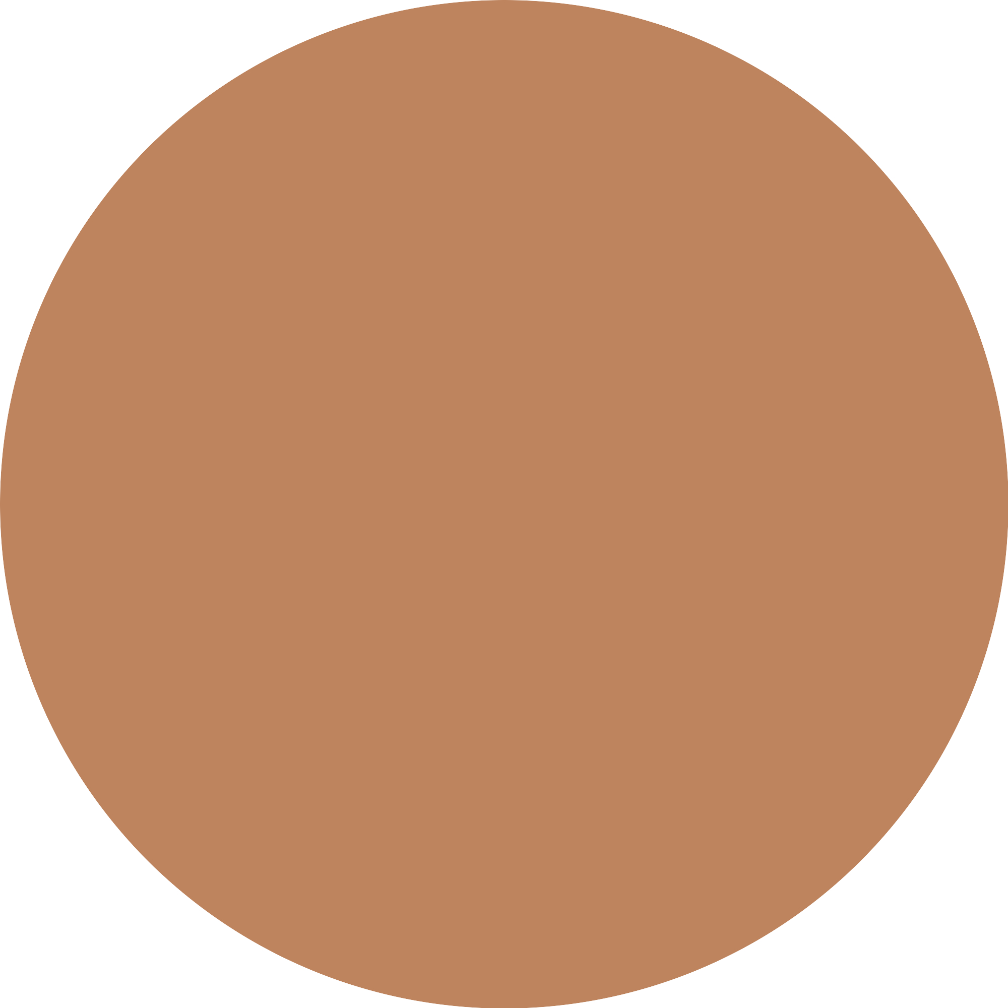 Catrice Skin Like Toonitud näoniisutaja 042C - Image 3