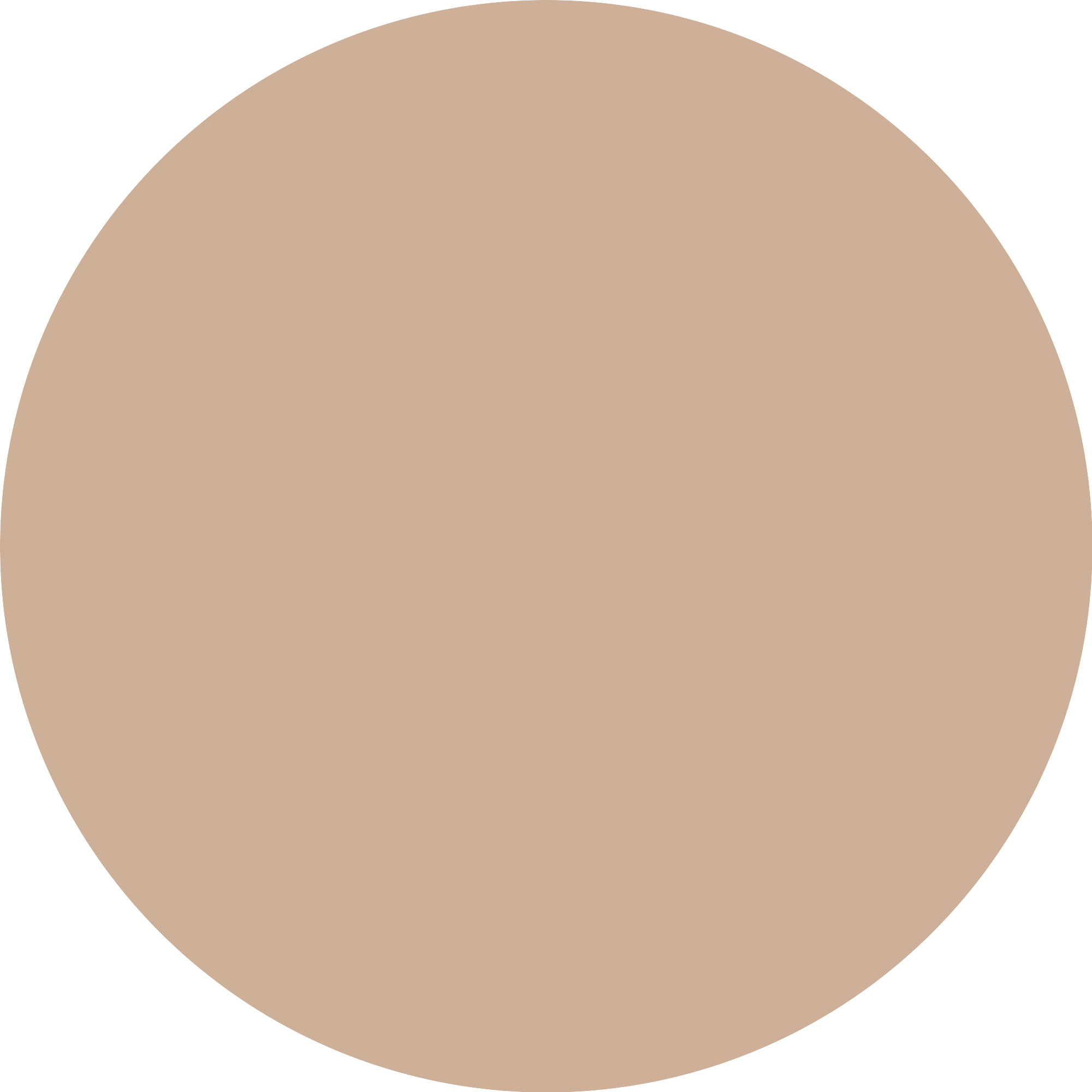 Catrice Aura Glam Bouncy Särapuuder 010 - Image 5