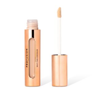Profusion Multi-Tasking Concealer kerge ja kauapüsiv peitekreem Medium