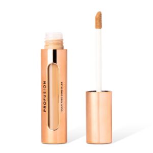 Profusion Multi-Tasking Concealer kerge ja kauapüsiv peitekreem Medium/Dark